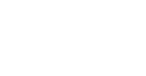 WR Hall Insurance Group - Logo 500 White